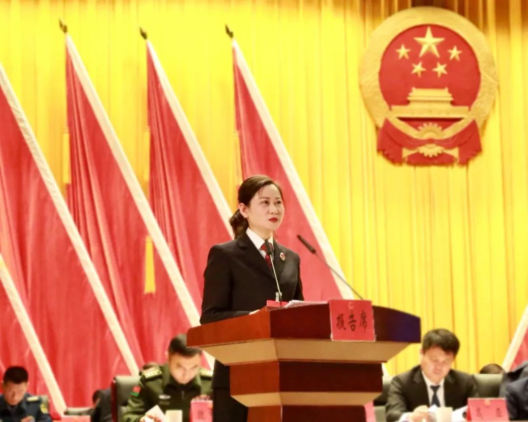 【聚焦基层两会】无为市人民检察院工作报告速览