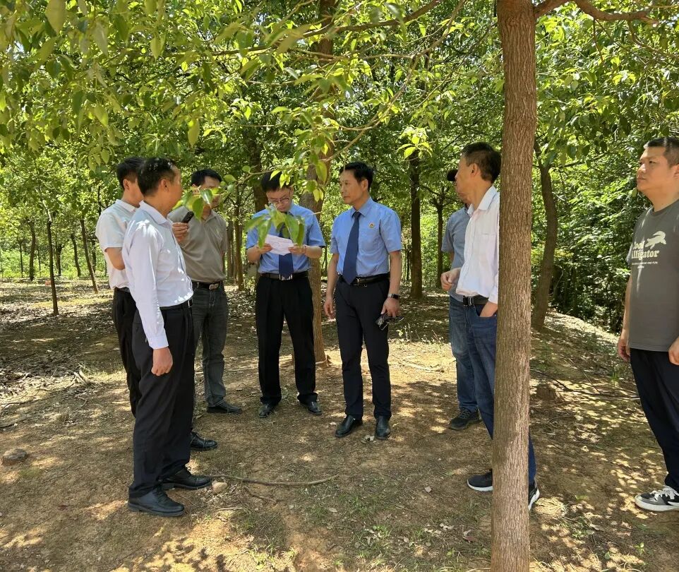 【世界环境日】以公益诉讼之盾，护绿水青山之美